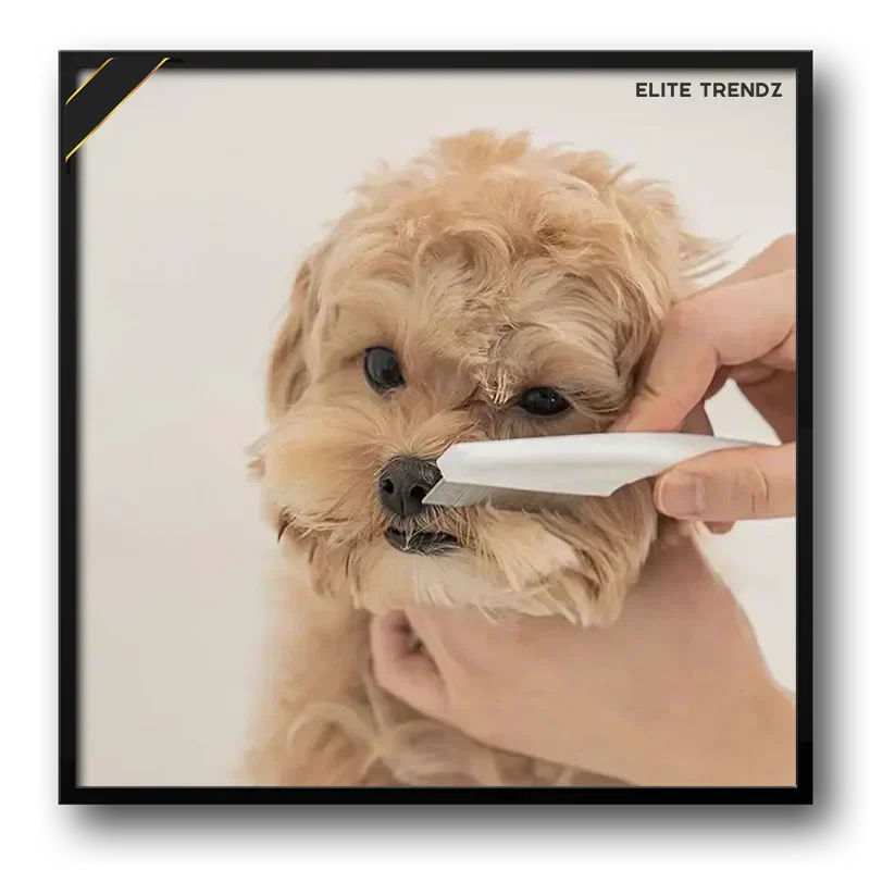 ELITE PET FLEA COMB- SAVE YOUR PETS FROM HARMFUL DISEASES CAUSED BY TICKS , PESTS , FOOD LEFTOVERS ETC. - Image 2