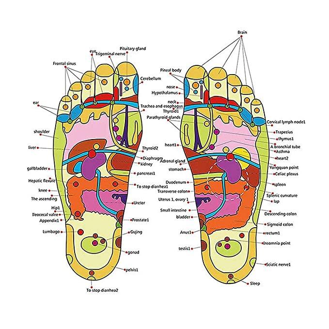 ELITEPRO™ Acupressure Foot Massage Slippers- 3 Month Warranty - Image 6