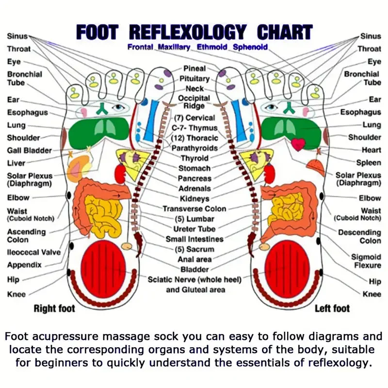 ELITEPRO™ ACUPRESSURE REFLEXOLOGY SOCKS WITH MASSAGE STICK- Body Pain Relief Socks with Trigger Point Massage Tool (Approved by Indian Medical Society) - Image 2