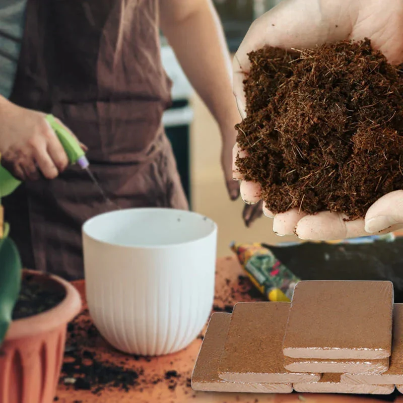 ELITEPRO™ Organic Coco Coir Brick - Potting Soil Mix for Plants- Pack OF 2 Bricks (200 gm each) - Image 4