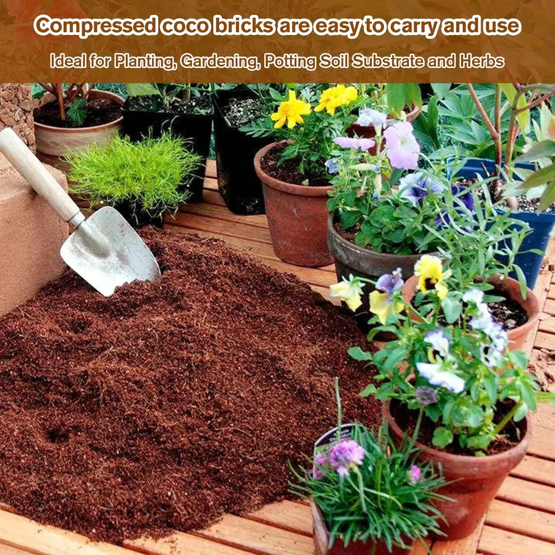 ELITEPRO™ Organic Coco Coir Brick - Potting Soil Mix for Plants- Pack OF 2 Bricks (200 gm each) - Image 8