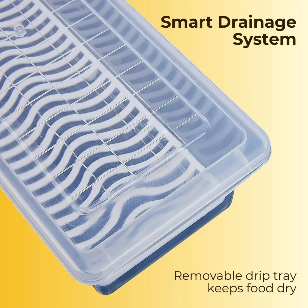 Fridge Storage Container with Drain Plate with Free Kitchen Stickers - Image 4