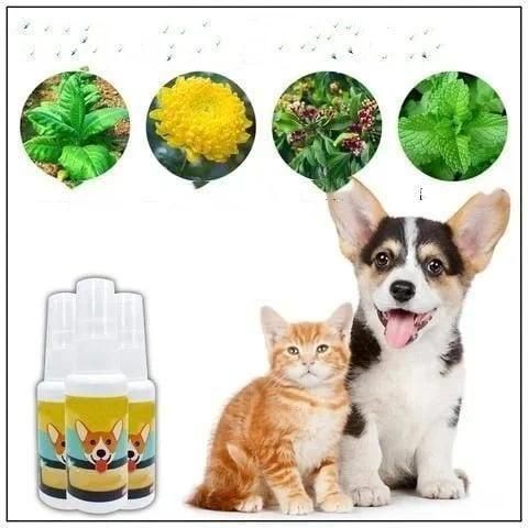 Natural Potty Training Spary for Dog & Cat (Pack of 2) 30ml each - Image 2