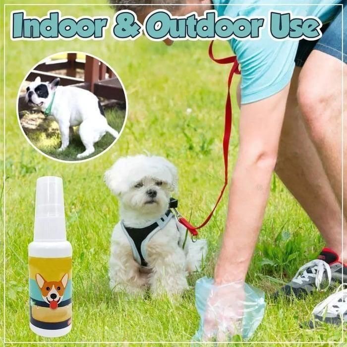 Natural Potty Training Spary for Dog & Cat (Pack of 2) 30ml each - Image 3