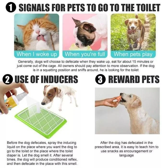 Natural Potty Training Spary for Dog & Cat (Pack of 2) 30ml each - Image 4