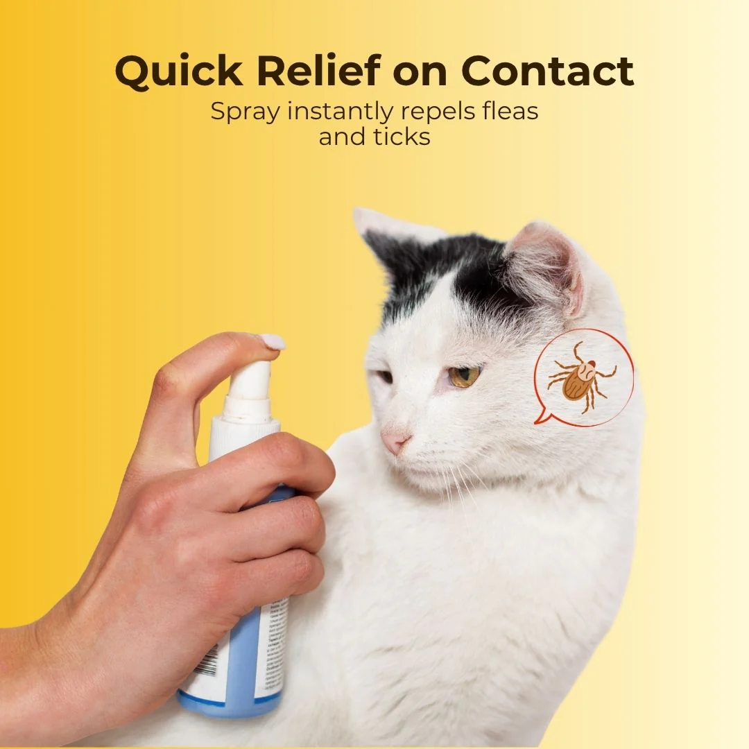 Pet Flea and Tick Spray (100ml) (Pack of 2) with FREE Pet Flea and Tick Comb - Image 2