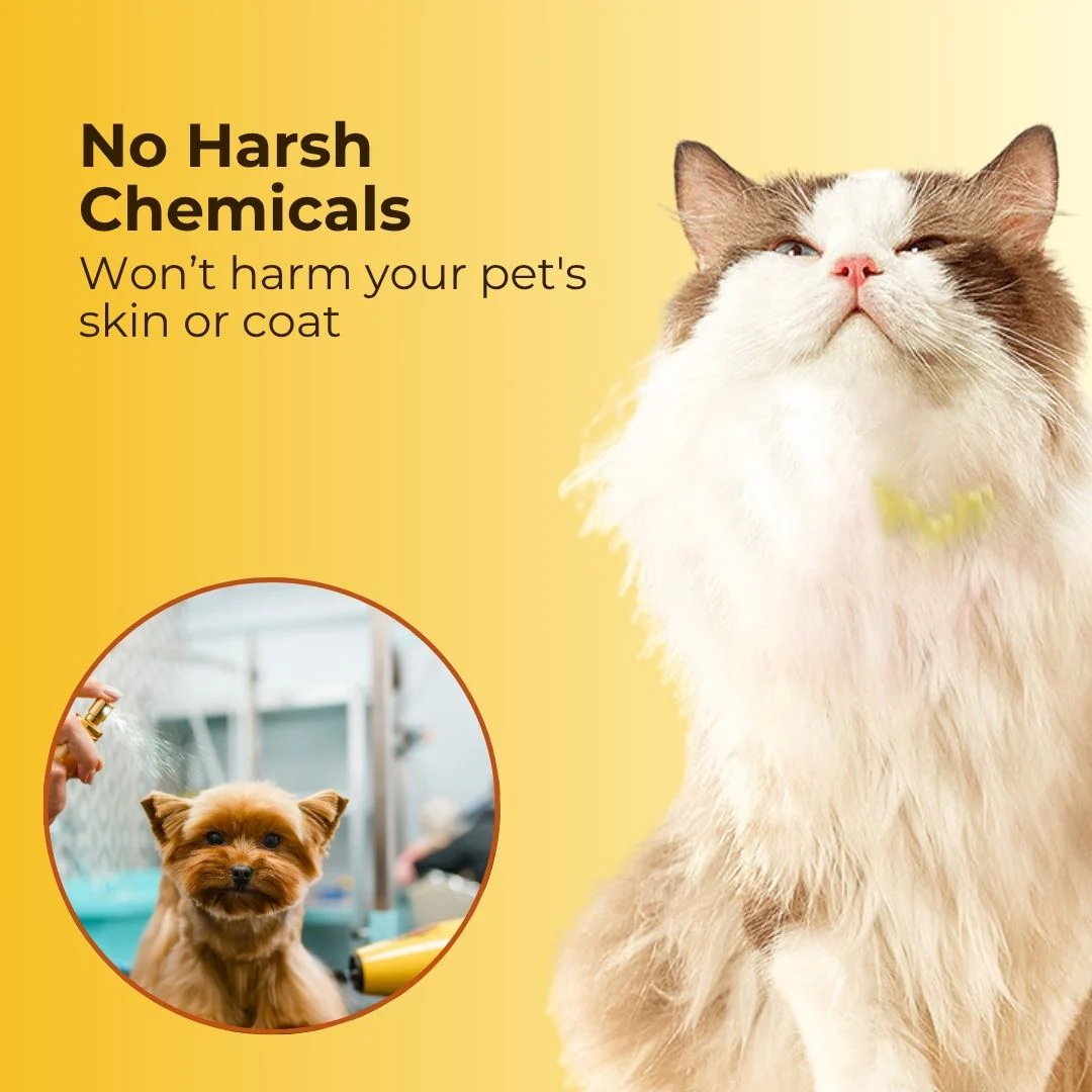Pet Flea and Tick Spray (100ml) (Pack of 2) with FREE Pet Flea and Tick Comb - Image 3