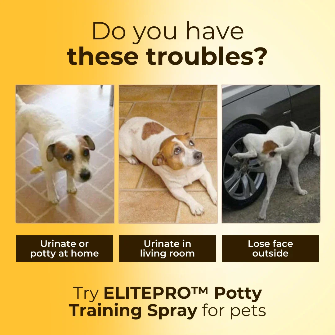 Potty Training Spray For Pets - Image 2