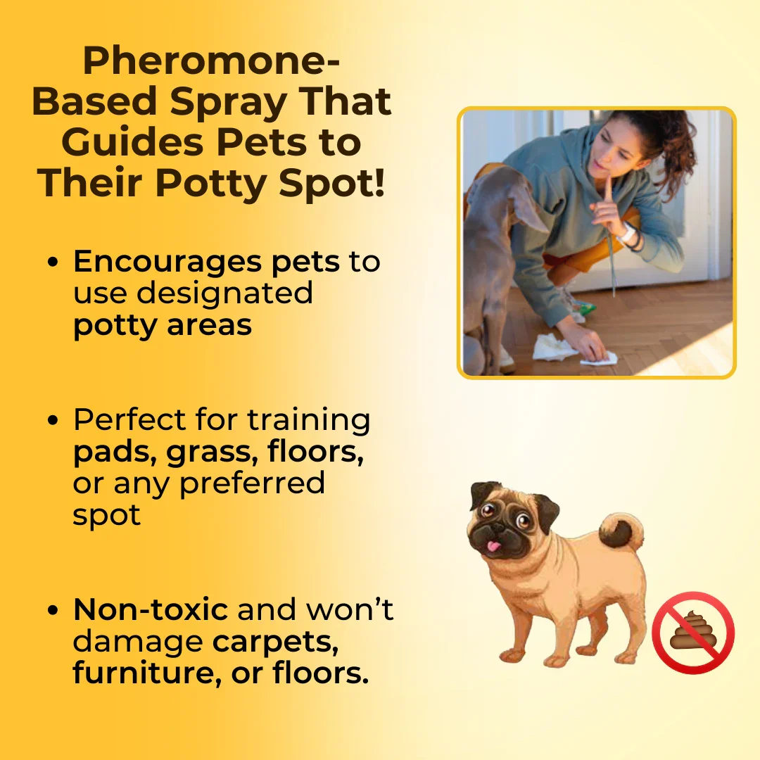 Potty Training Spray For Pets - Image 3