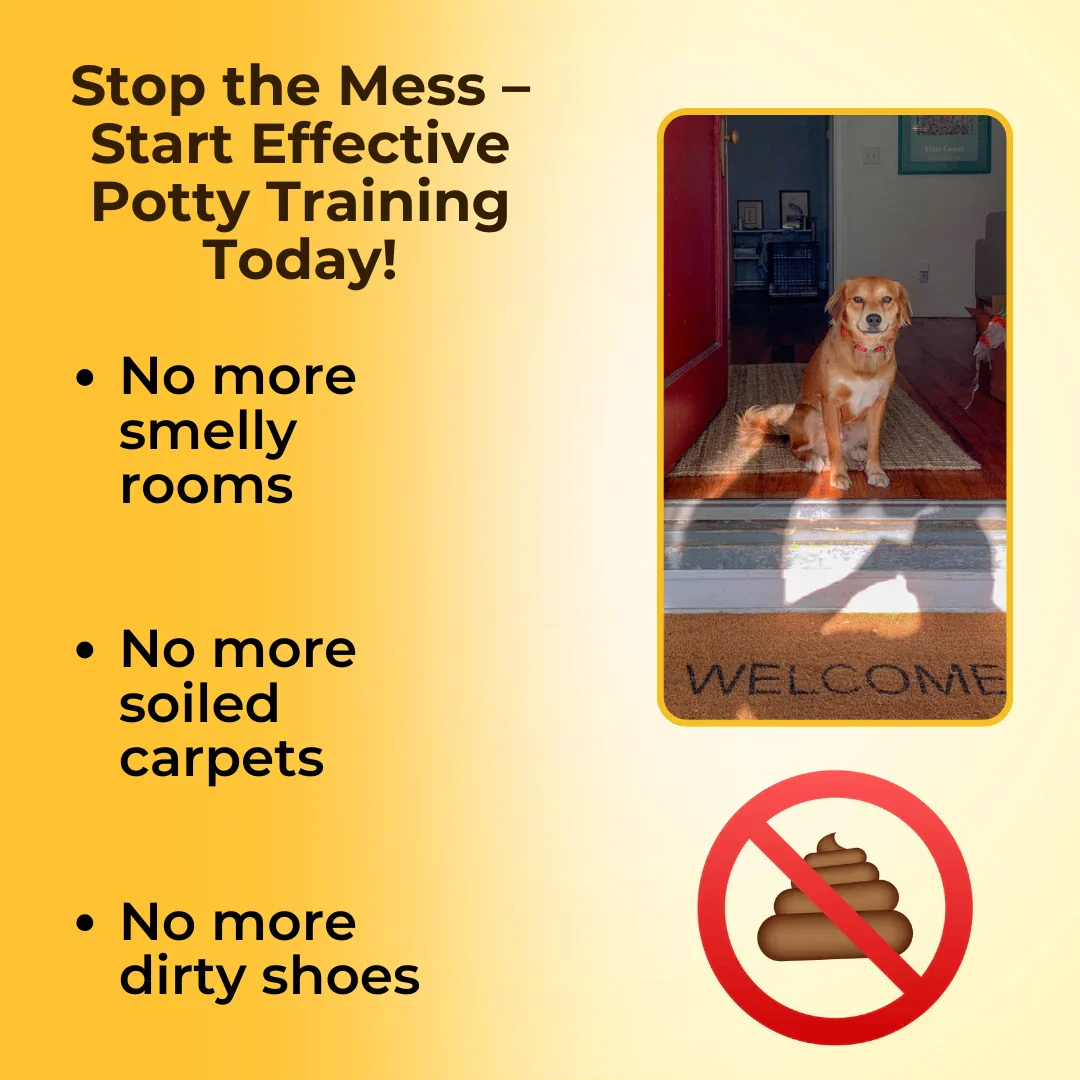 Potty Training Spray For Pets - Image 4