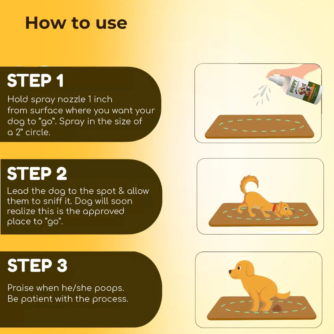 Potty Training Spray For Pets - Image 6