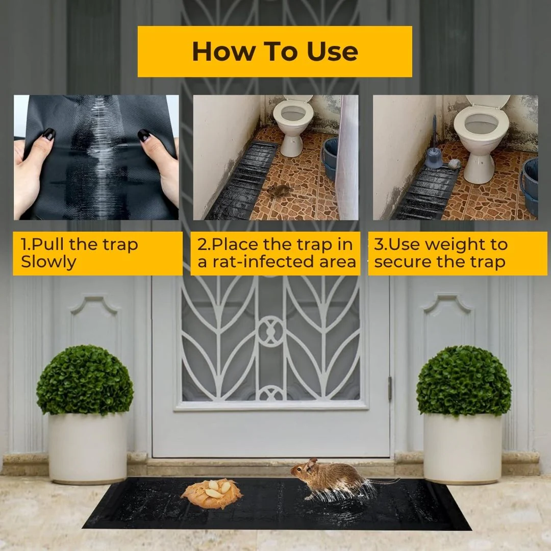 Super Sticky Mouse Trap Pads - Image 4